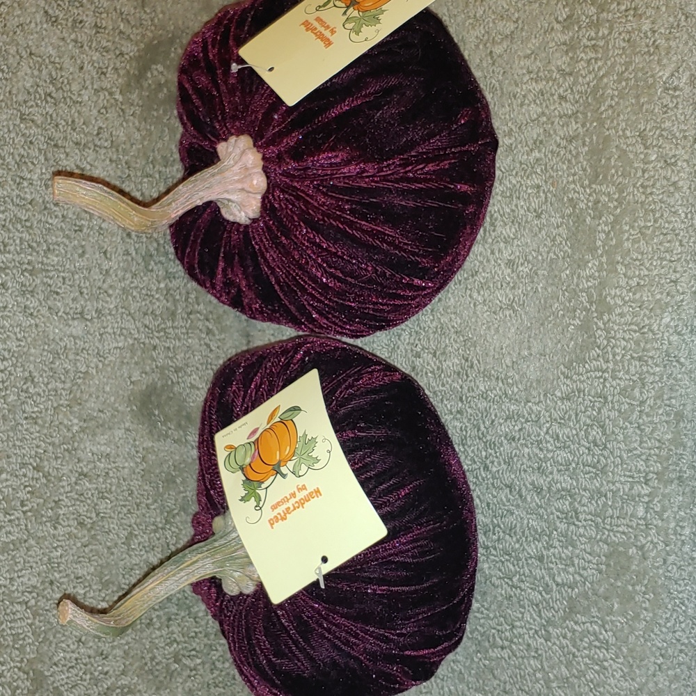 2 fall pumpkins
